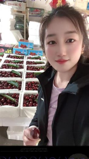#美早大樱桃 #卖樱桃的日常 红得发亮，甜得入心，美早正当季，赶紧尝鲜吧😋