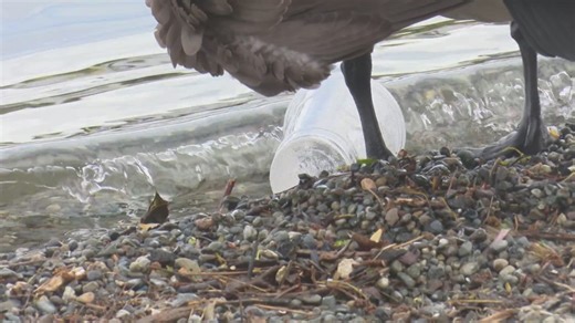 Styrofoam, packaging with PFAS will be banned in Washington this summer. What that means for consumers