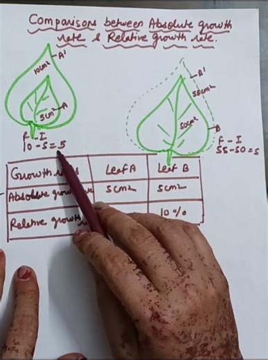 Comparison between absolute growth and relative growth class11 NEET2026 CUET2026