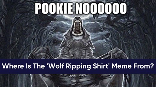 Where Is The 'Wolf Ripping Shirt' Meme From And How Did It Become A Meme? The Werewolf Ripping Shirt Meme Explained