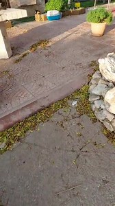 102K views · 2.3K reactions | Barra Zero Stress on Reels | Facebook