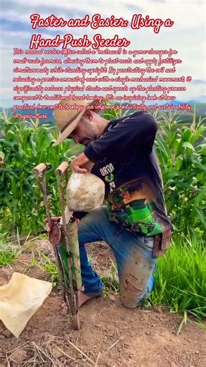 Faster and Easier: Using a Hand-Push Seeder