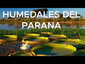Humedales del río Paraná, 1 día en las islas