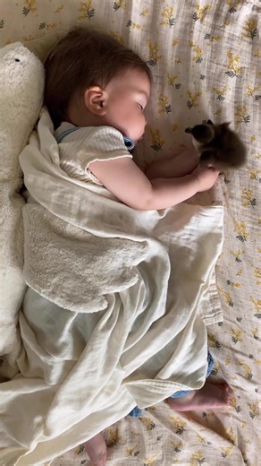 3.2K views · 148 reactions | The sweetest moments in life 癩 Baby duck was hatched a day earlier than the other eggs and needed a bit more of comfort to survive. He spent all day long with us and course, baby asked to nap with him and she did, it’s a core memory for sure 癩 @mamasoli_go | Just Baby | Facebook