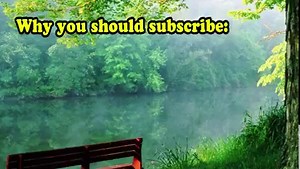 4.6K views · 112 reactions | Throwback to the amazingly edited Team Double Dragon Trailer! Still waiting to hear back from Greggs but that FREE DONUT is on the way out to you  #ThrowbackThursday | The Yogscast | Facebook