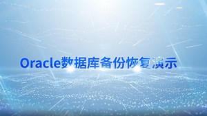数据库Oracle 单机备份恢复演示