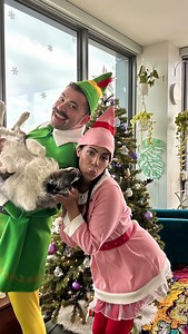 The world’s best chocolate chip chocolate chip cookie recipe from my cookbook, BREAKING THE RULES…and rest I prefer my chocolate chip cookies without chocolate, I’m a rule breaker. Should we keep our Elf (Buddy & Jovi) costumes going for more? | Joe Sasto