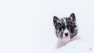 Four Tips to Improve Your Photo Compositions