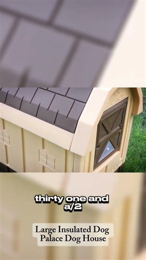 Best Insulated Large Breed Dog House 2026 | The Dog Palace Review