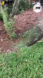 12K views · 29 reactions | #Dairy_farming #New_Modern #JapanMachineryStore #wheat #farming #trending #dairyfree #agriculture | Japan Machinery Store | Facebook