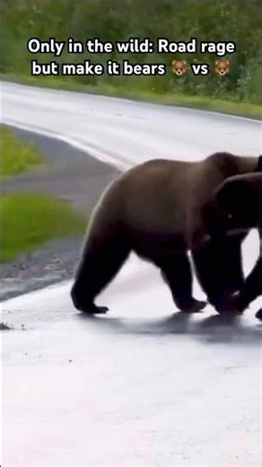 An Ordinary day in Poland #immigration #poland #polska #travel #indianinpoland #europe