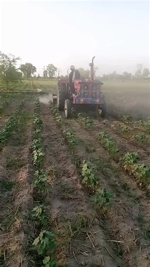 cotton Rotavator for drill kasht #tiktoknitunderrewiew #ghmzarifarm2059r #fyp #shaziabch