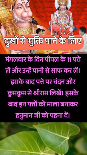 35K views · 296 reactions | Astrology Call 7099137154 ज्योतिष ग्रह शास्त्र निशुल्क सेवा Online Consultation #shortsviral #horoscopeposts #remedies #shortsfeed #viral #kundli #jyotish #horseriding #वस्तु #कुण्डली # horoscope analysis #KundliMatching #ज्योतिषी उपाय #वस्तु शास्त्र।। | Astrologer Sangita | Facebook