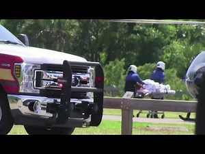 Trappers catch alligator that attacked woman near Florida park