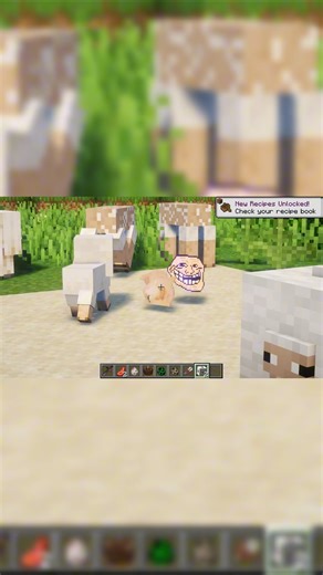 📜funny texture pack