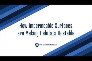 What are Permeable Surfaces?