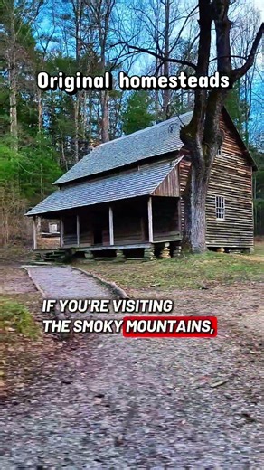 Take a drive through beautiful Cades Cove and see why it's a Smoky Mountain favorite. 🚗🏞️