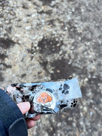 Blu 🐾💙 on Instagram: "Blu has officially turned TWO… which means teenage chaos with a sprinkle of maturity (sometimes) 🤪🩵 If you’ve followed us through his wild teenage phase, you’ll know we had to strip everything right back to basics — rebuilding focus, engagement and that all-important heel work. Fast forward to now… and we’re back to trusting him off lead, even around other dogs 🐾✨ (Still high energy. Still cheeky. Just slightly more sensible.) Our secret weapon? @rubysdelights25 Rabbit