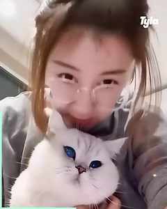 1.3M views · 24K reactions | Cats are so funny to watch  | STUDENTbible | Facebook