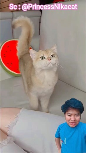 Dirty memes⁉️@PrincessNikacat