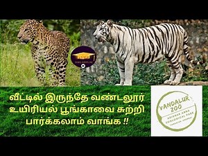 இனி வீட்டில் இருந்தே வண்டலூர் உயிரியல் பூங்காவை Live-வாக சுற்றி பார்க்கலாம்//Virtual Vandalur Zoo//