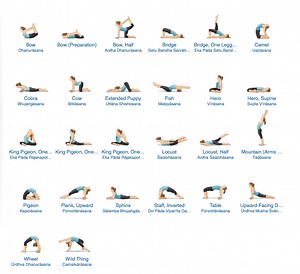 Yoga Poses Guideline