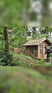 Renovating a rainforest shelter & camping alone #fyp #solotravel #soloadventure #camping #shortfilm