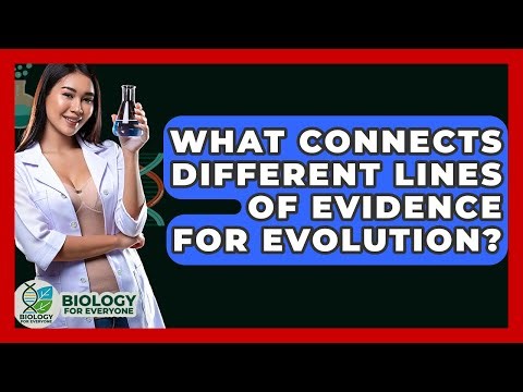 What Connects Different Lines Of Evidence For Evolution? - Biology For Everyone