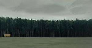 Download & Play Pine: A Story of Loss on PC & Mac (Emulator)