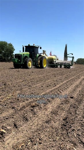 Planting Corn: Tips for a Successful Crop