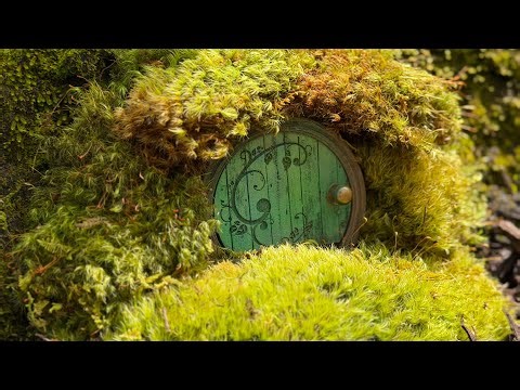 Creating Fairy Magic in the Garden ✨ Mood Moss & Fairy Doors & Lakeview Rose Tour + Fertilizing Tips