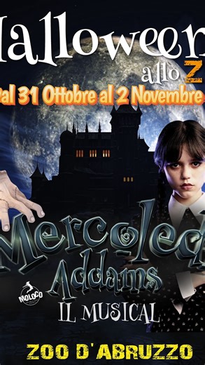 20 reactions | Lei non sorride mai… ma farà ridere tutti! 핸햊햗했햔햑햊행ì 핬행행햆햒햘 – 해햑 핸햚햘햎했햆햑! Solo dal 31 ottobre al 2 novembre. Un Halloween da… paura! . #musical #show #halloween #liveshow #familyshow #entertainment #moloco | Zoo D'Abruzzo | Facebook