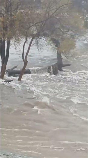 🎬🔥 👉 Add 👉 Watchlist: 🔗 https://www.imdb.com/title/tt39076531/#LARiver##StormWatch#FloodWatch