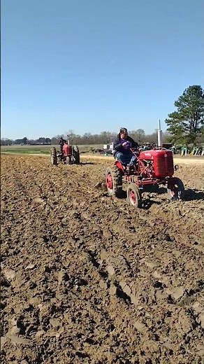 Super A and 300 Farmall plowing #farmall51 #tractor #farming #plowing