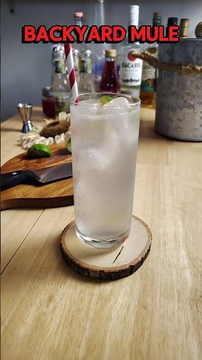 Backyard Mule 🍹 Easy Rum & Ginger Beer Cocktail #cocktails #rum #summerdrinks #easyrecipes