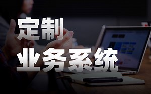 个性化需求难满足？定制一个业务系统全解决