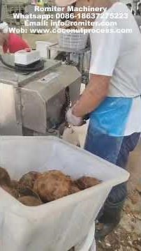 Automatic Coconut Hard Shell Peeling Removing Machine