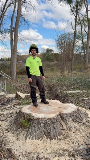 Big thanks to Seasonal Property Maintenance for lending a hand with the crane work! #treeservice #Michigan #cranework #treeremoval | A&A Tree Services