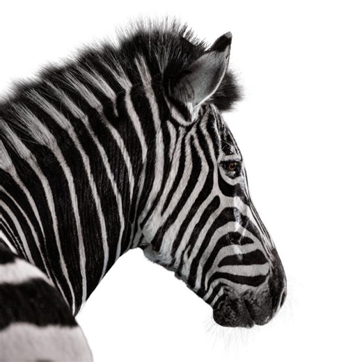Make banking effortless and elevate your financial journey today with a Private Bank Account designed for you. | Investec