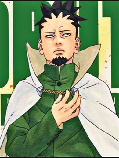 Shikamaru como Hokage: Uma Escolha Controversial