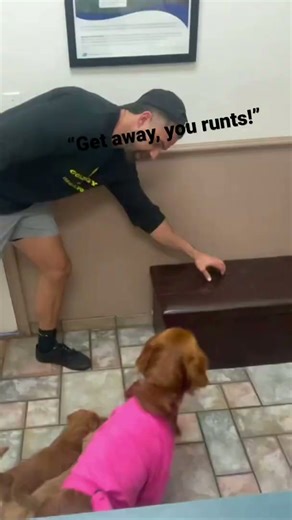 Puppies first vet visit! #shorts