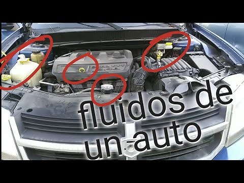 How to check all the liquids in a car