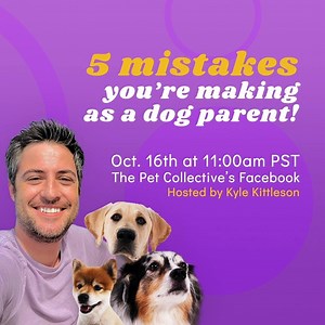 62K views · 458 reactions | Join the host of TPC podcast Kyle Kittleson on Oct. 16th at 11:00am for a breakdown on how to troubleshoot the most common mistakes we make as dog parents! Tickets available now ➡️ https://bit.ly/3d7z1hb | Try Not to Laugh | Facebook