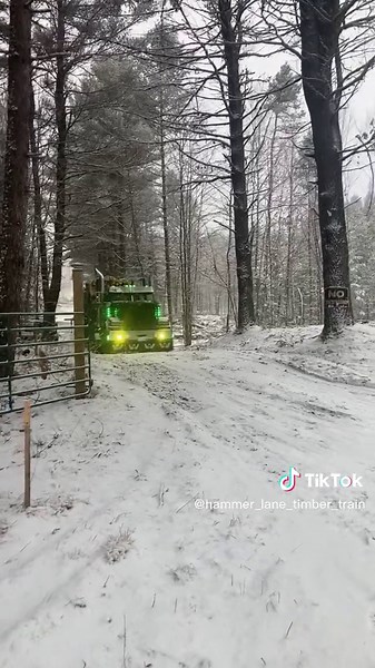 #westernstar #caterpillar #logger #rogersonlogging #offroadshit #jakebrake #straightpipes #blackandgreen @garrett_hall2000