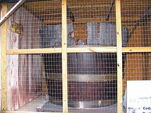 World's Largest Cedar Bucket - Alchetron, the free social encyclopedia