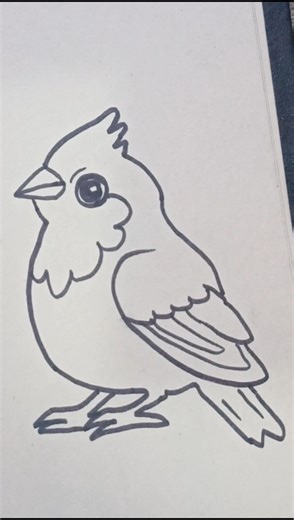 Bird Drawing. #art #drawing #howtodraw #birds #linedrawing #youtubeshorts #shorts #viral #trending