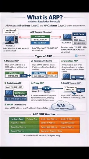 What is ARP? | Address Resolution Protocol Explained with Examples