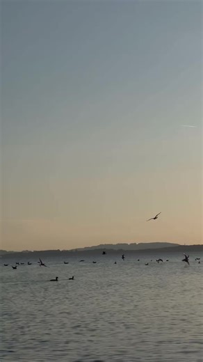 Dash Berlin Oceans (Robbie Seed Remix) Overview