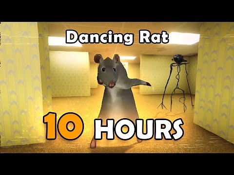 Rat Dancing in Backrooms 10 Hours / Dancing Rat in the Backrooms 10 Hours | Meme