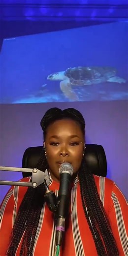 Live Reggae Music Highlights: Experience the Beats